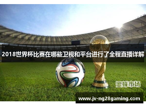 2018世界杯比赛在哪些卫视和平台进行了全程直播详解