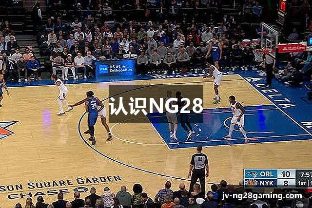 认识NG28